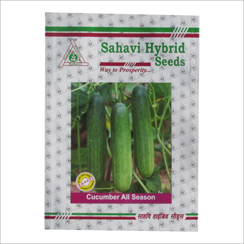 Cucumber All Season