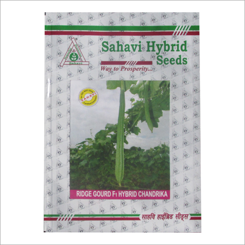 Ridge Gourd F1 Hybrid Chandrika
