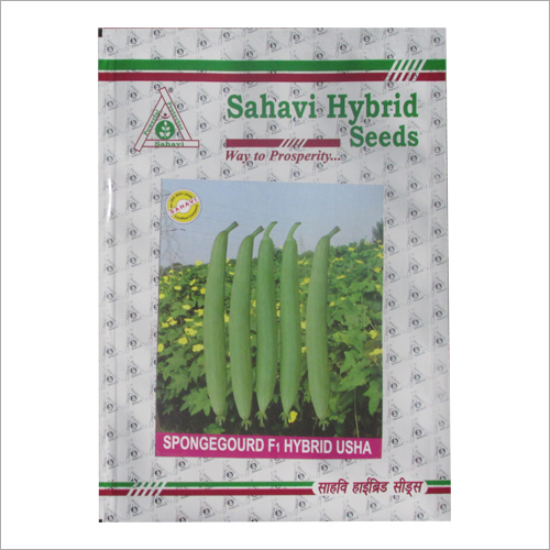 Spongegourd F1 Hydrid Usha