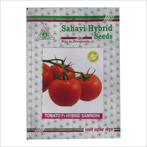 Tomato F1 Hybrid Samridhi