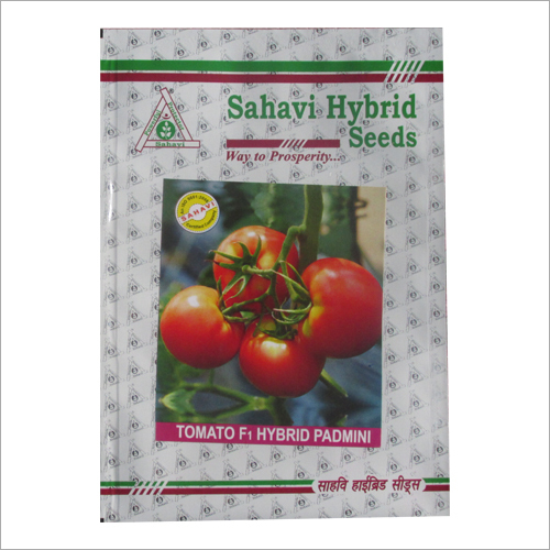 Tomato F1 Hybrid Padmini