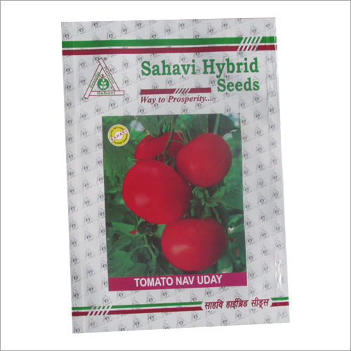 Tomato Nav Uday