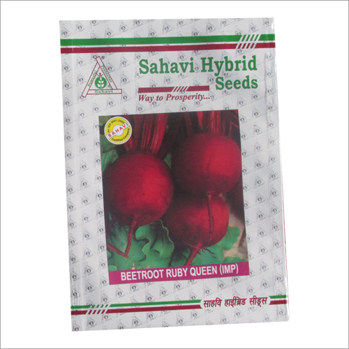 Beetroot Ruby Queen IMP