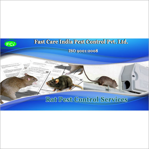 Rat Pest Control Service By FAST CARE INDIA PEST CONTROL PVT. LTD.