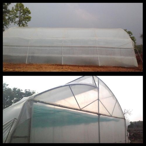 Green House 160 metre