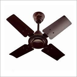 FAN 24'