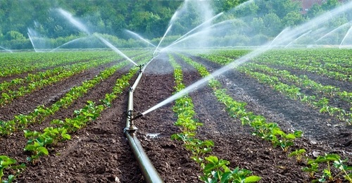 Micro Agriculture Irrigation System