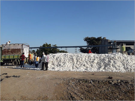 Raw Cotton