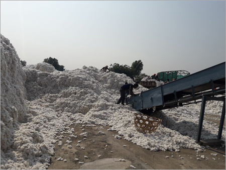 100% Raw Cotton