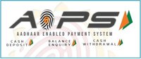 Aadhaar Enabled Payment System Business