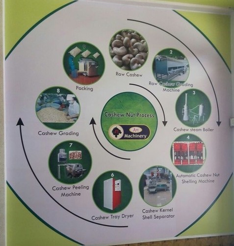 Cashew Nut Process Plant