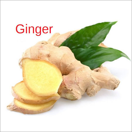 Ginger