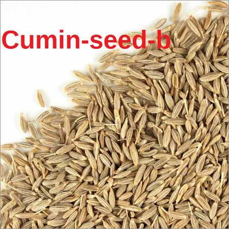 Cumin Seeds