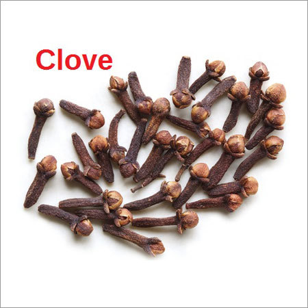 Clove