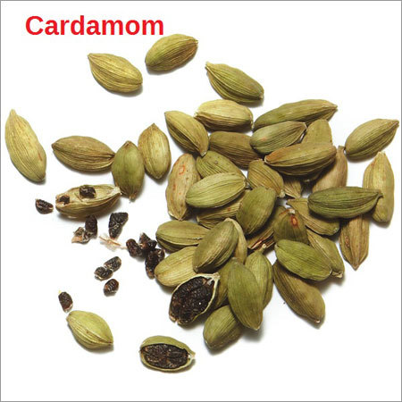 Cardamom