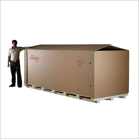 Ficus Packing Box