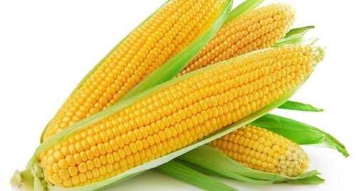 Corn Application: Food