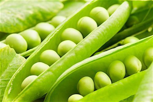 Green Peas Application: Food