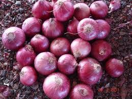 Red onion