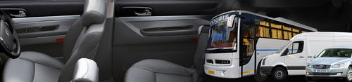 Car Odor Eliminator