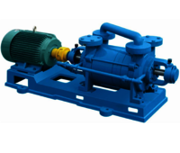 Two Stage Watering Vacuum Pump