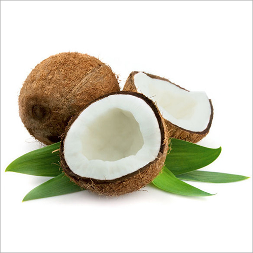 Coconut