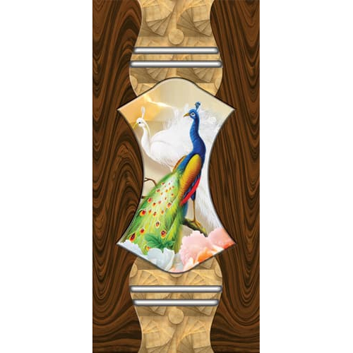 Paper Print Door Skin