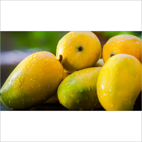 Alphonso Mango