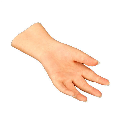 Cosmetic Hand