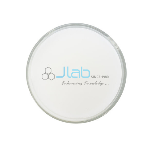 Plano Concave Lenses By JAIN LABORATORY INSTRUMENTS PRIVATE LIMITED