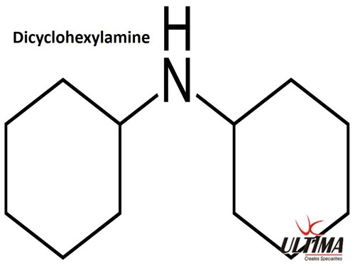 Dicyclohexylamine