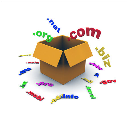 Domain Name Registration Services