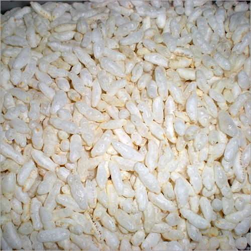 Puffed Rice