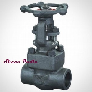 Forged gate valve
