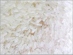 Masoori Rice