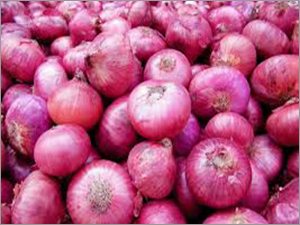 Fresh Onion