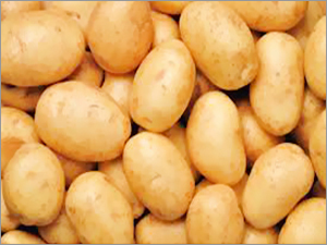 Organic Potato