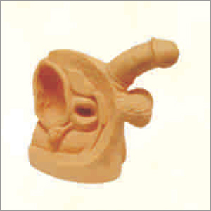 Pvc Advanced Male Internal & External Organs