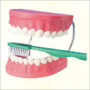 Pvc Tooth Hygiene Set With Brush