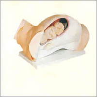 Pvc Model For Course Of Delivery