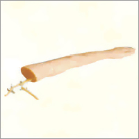 Pvc Injection Training Arm Model (Without Set)