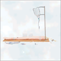 Pvc Injection Training Arm Model (With Set)