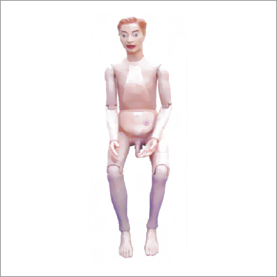High Quality Nurse Training Doll (Male) Unisex Application: Use For Laboratory And Hospitals.