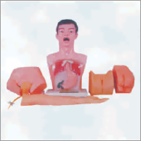 Pvc Nurse Basic Practice Teaching Model