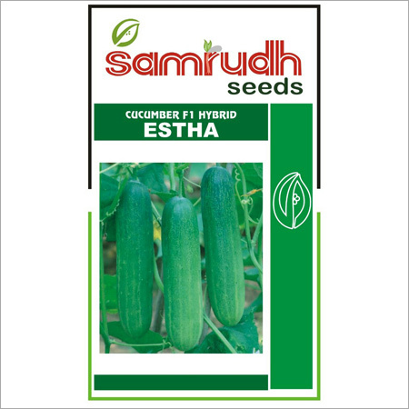 Cucumber F1 Hybrid Seed