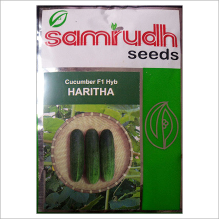 Fresh Cucumber F1 Hybrid Seed