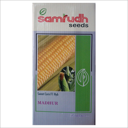 Sweet Corn F1 Hybrid
