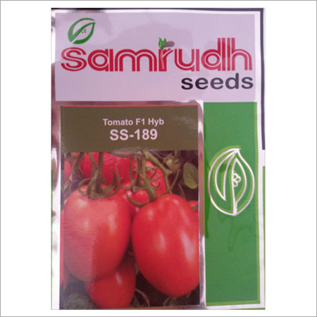 Hybrid Tomato Seed