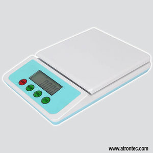 precision digital scale