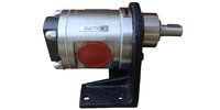 SS Rotary Gear Pump